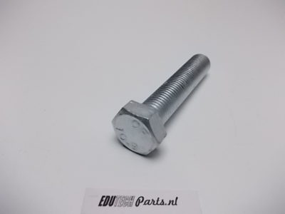 Zeskantbout M16x80 10.9